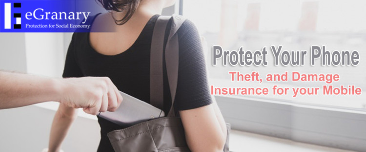 protection-or-insurance-plan-for-stolen-iphone-smartphone-egranary